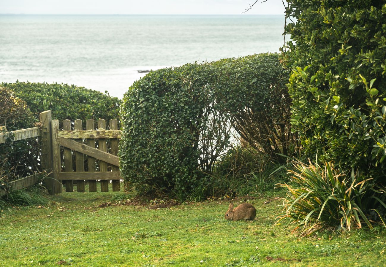 Cottage in Sennen - Wolf Rock