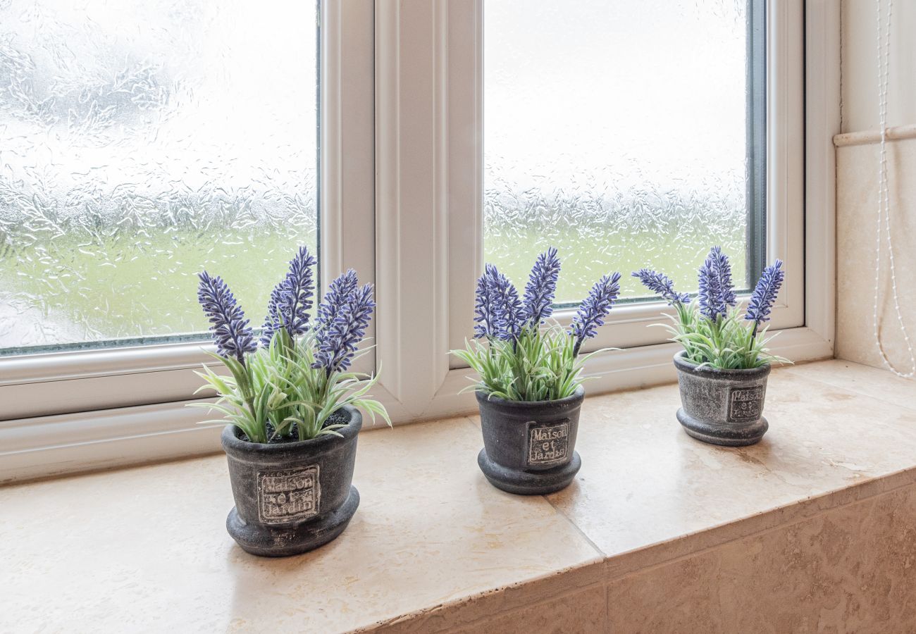 Country house in Holywell - Groes Faen Bach Farmhouse