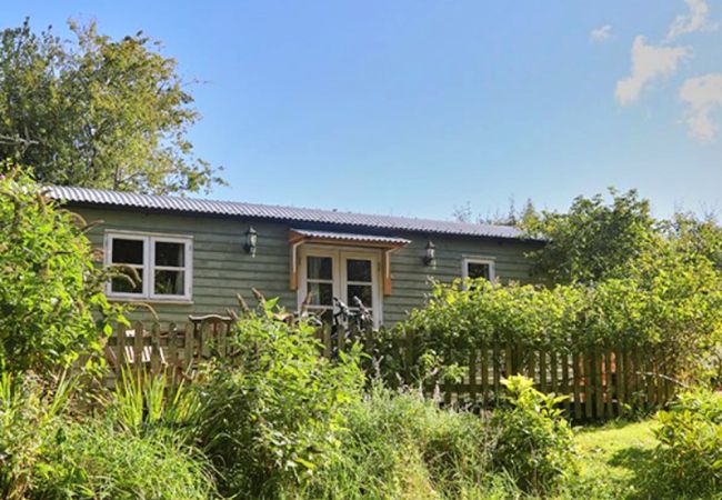 Villa in Shrewsbury - Shepherd's Retreat at Morrells Wood