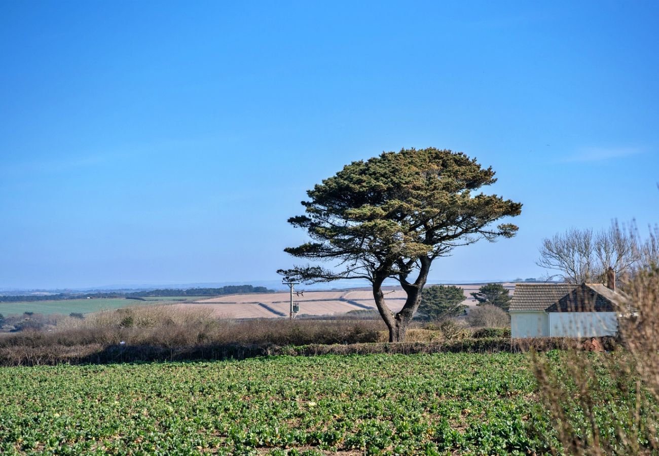 House in Marazion - Chy Merthen