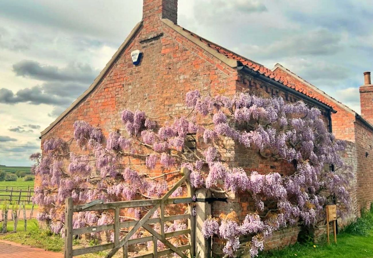 Cottage in Hemingby - Wisteria at the Rookery
