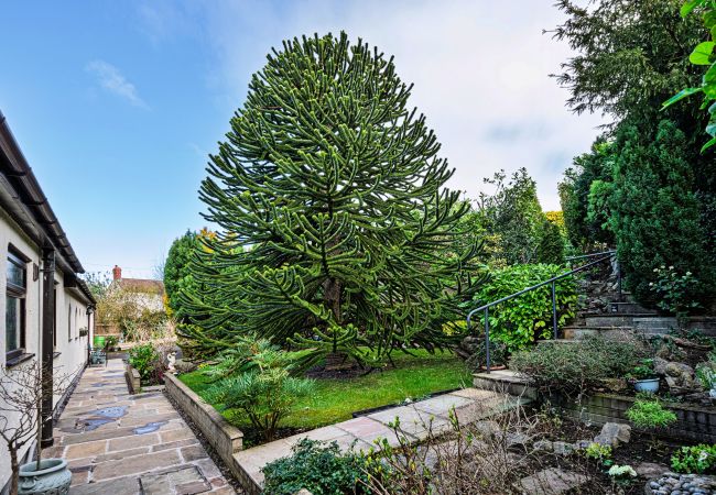 Cottage in Dyserth - Cesail Y Mynydd Cottage in Dyserth - Cesail Y Mynydd