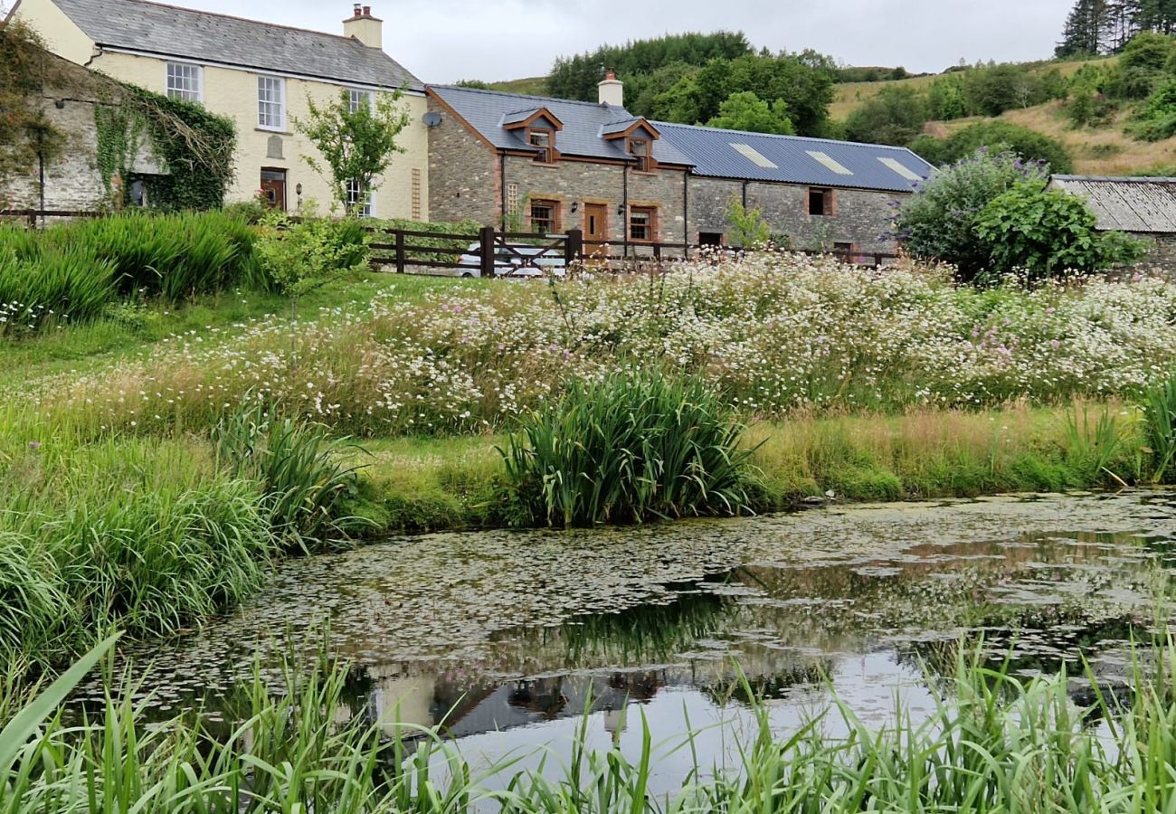 Cottage in Brecon - Coygen Cottage