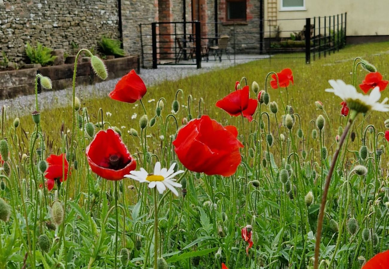 Cottage in Brecon - Coygen Cottage