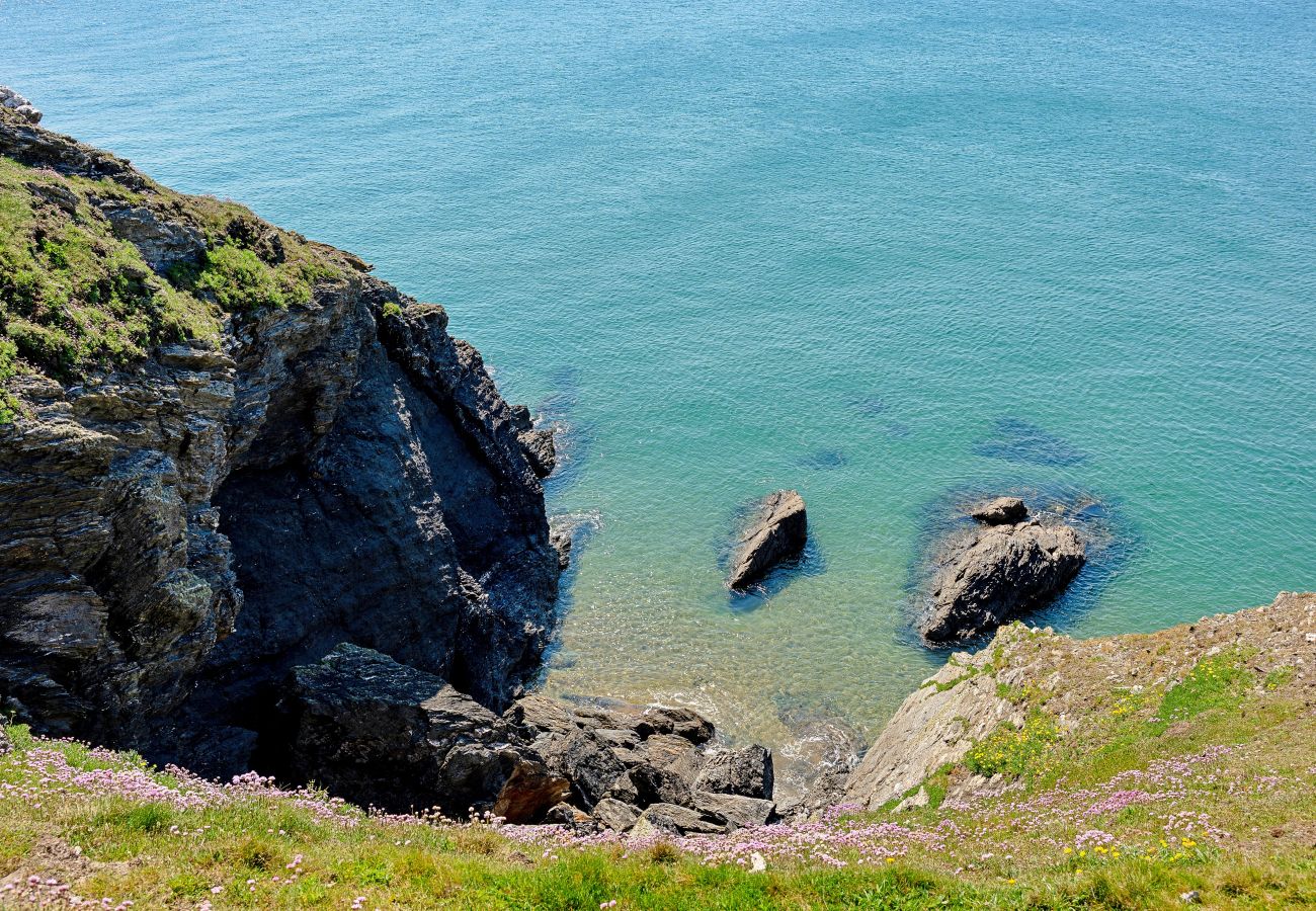 Apartment in Salcombe - Little Granary
