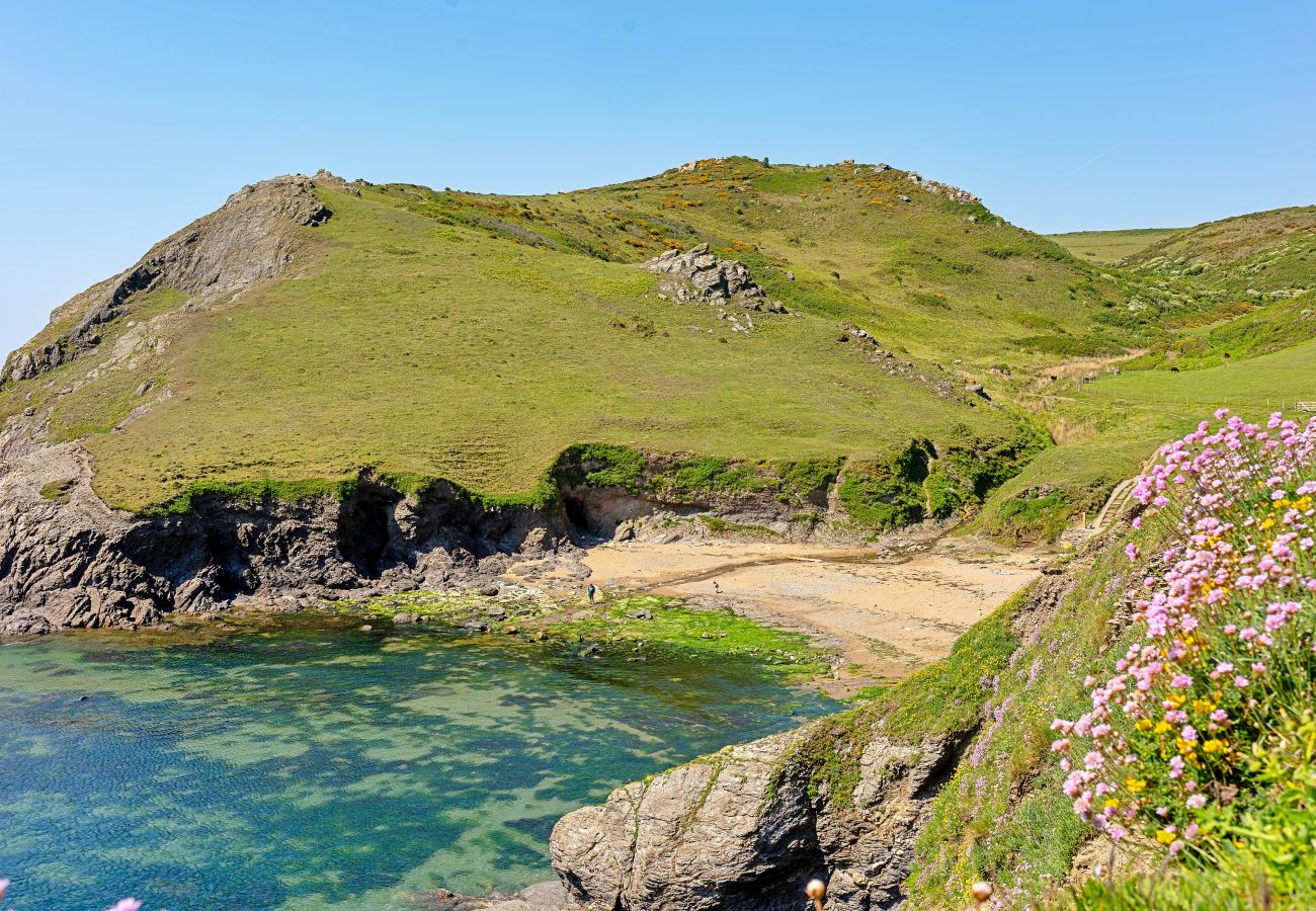 Apartment in Salcombe - Little Granary