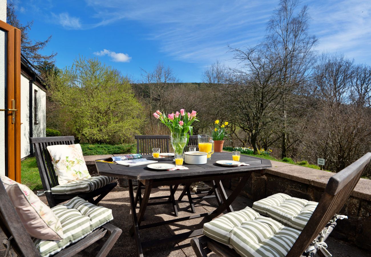 House in Llanidloes - Cwmfron House