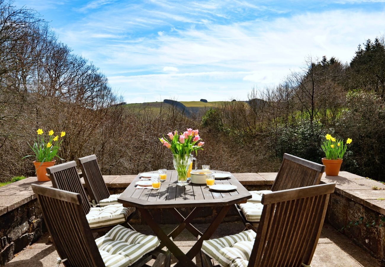 House in Llanidloes - Cwmfron House