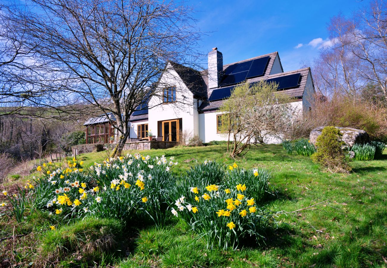 House in Llanidloes - Cwmfron House