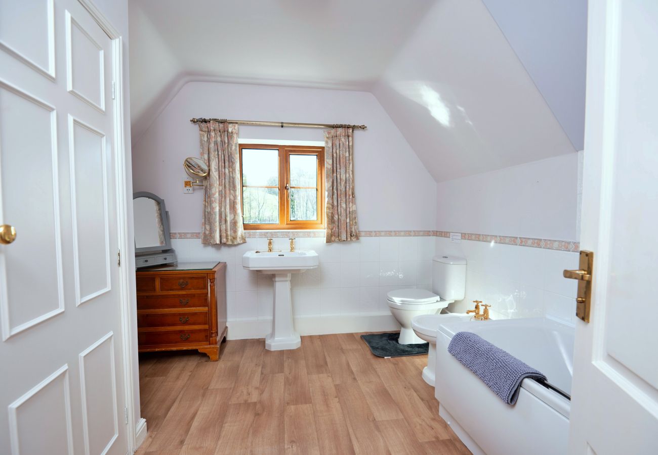 House in Llanidloes - Cwmfron House