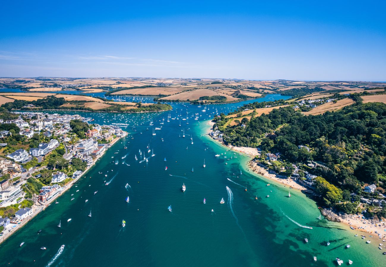 House in Salcombe - Tree View