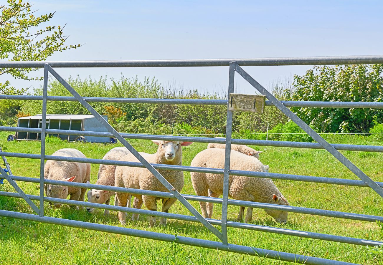 Cottage in Bideford - Hawthorne Barn