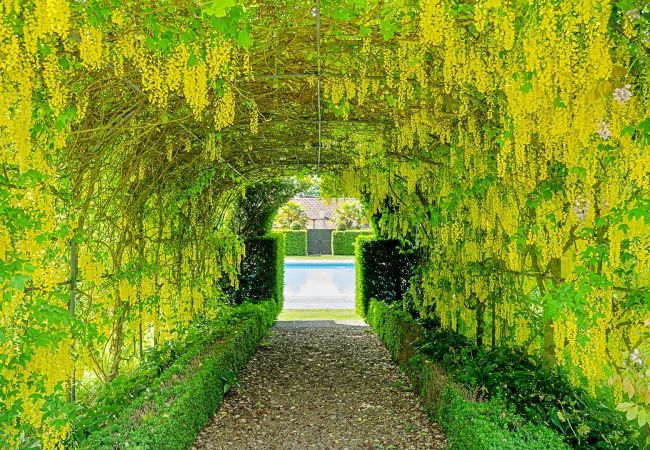 Country house in Tormarton - Tormarton Court Country house in Tormarton - Tormarton Court