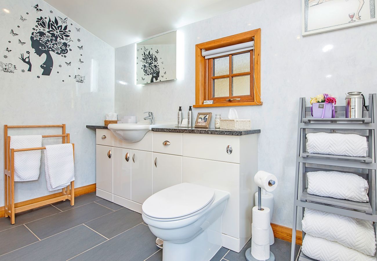 Cottage in Cardigan - Yr Hen Llaethdy