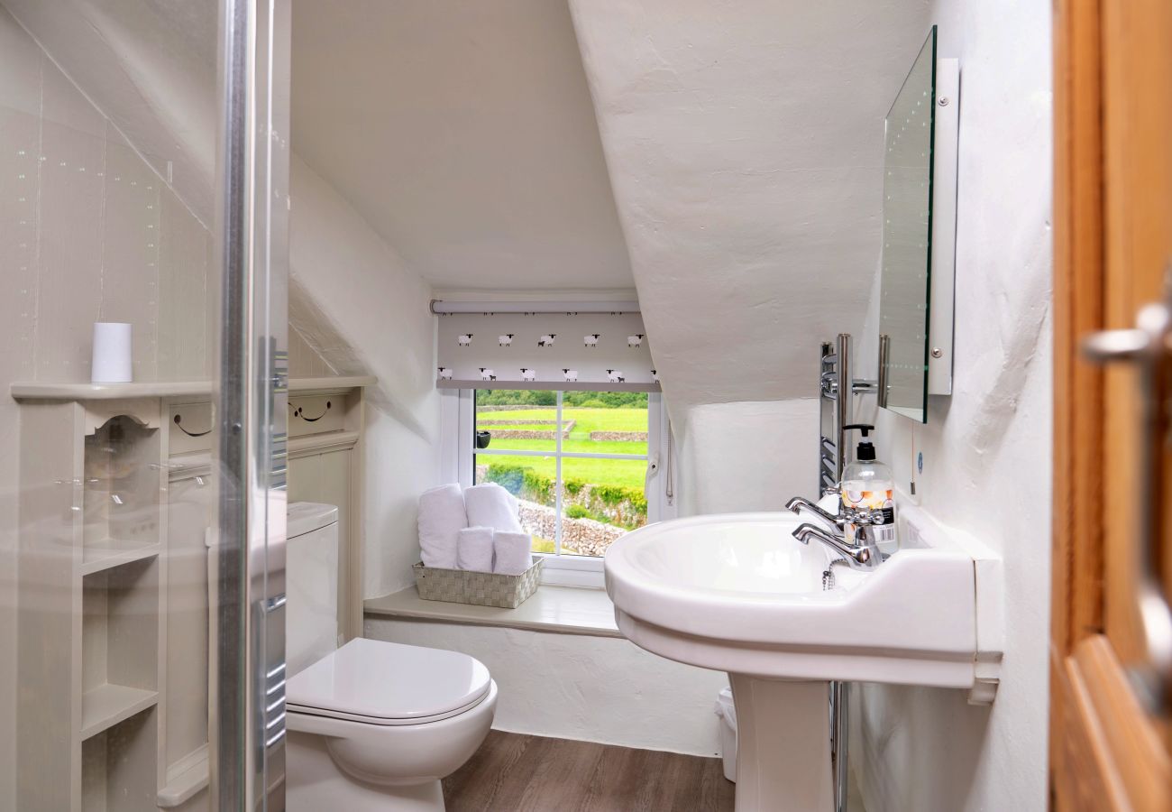 Cottage in Dolgellau - Penclogwynau