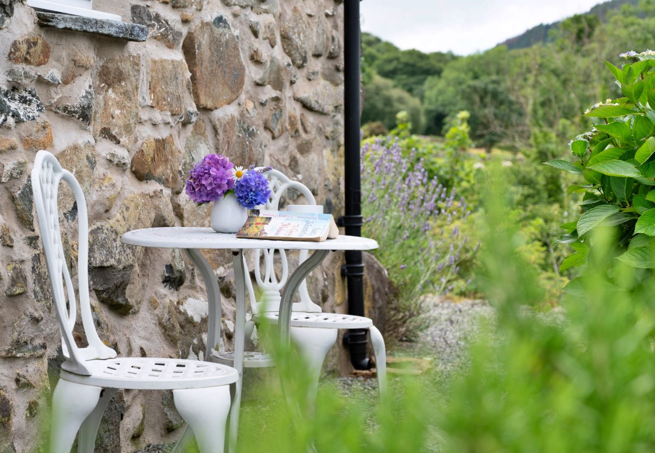 Cottage in Dolgellau - Penclogwynau
