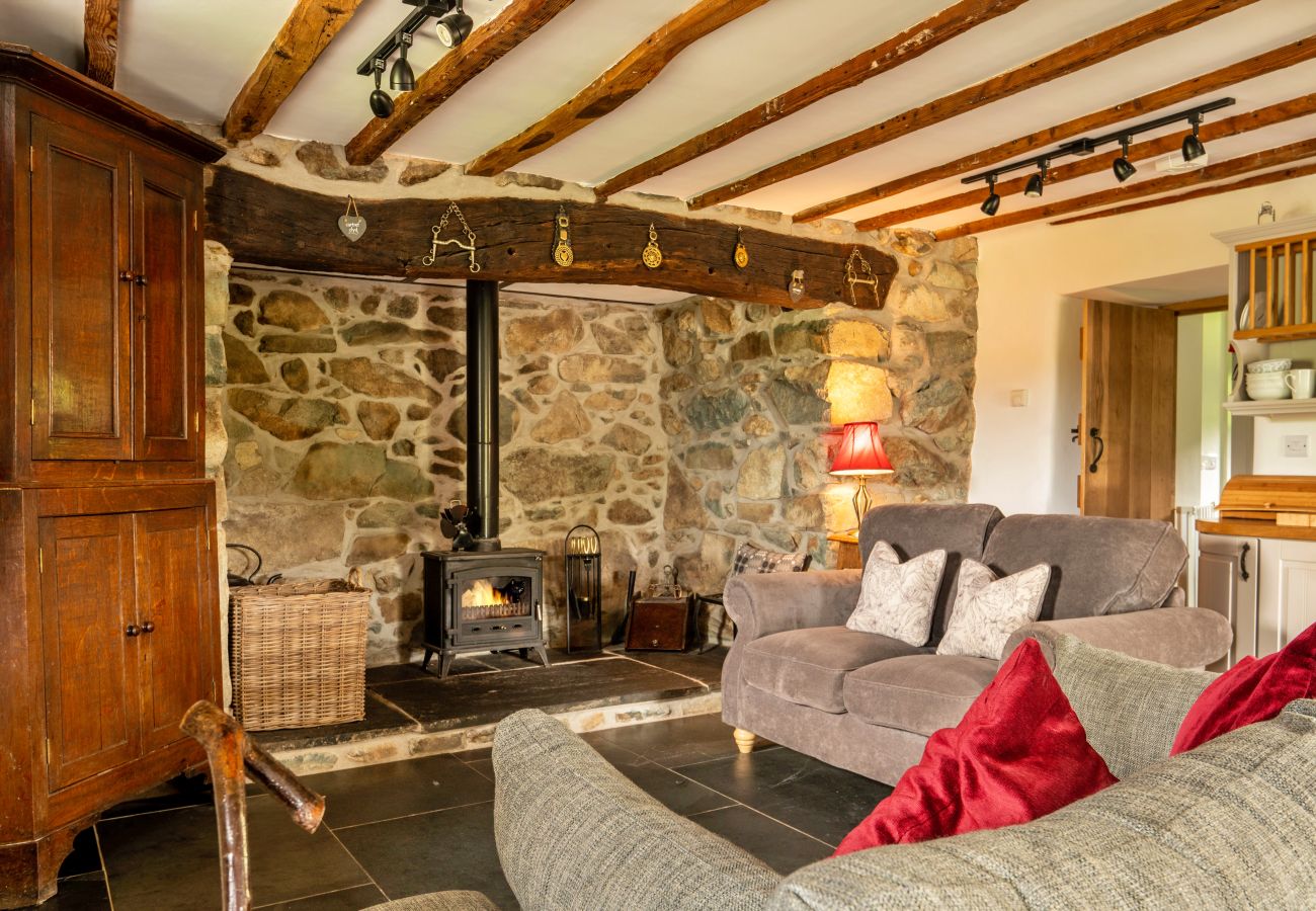 Cottage in Dolgellau - Penclogwynau