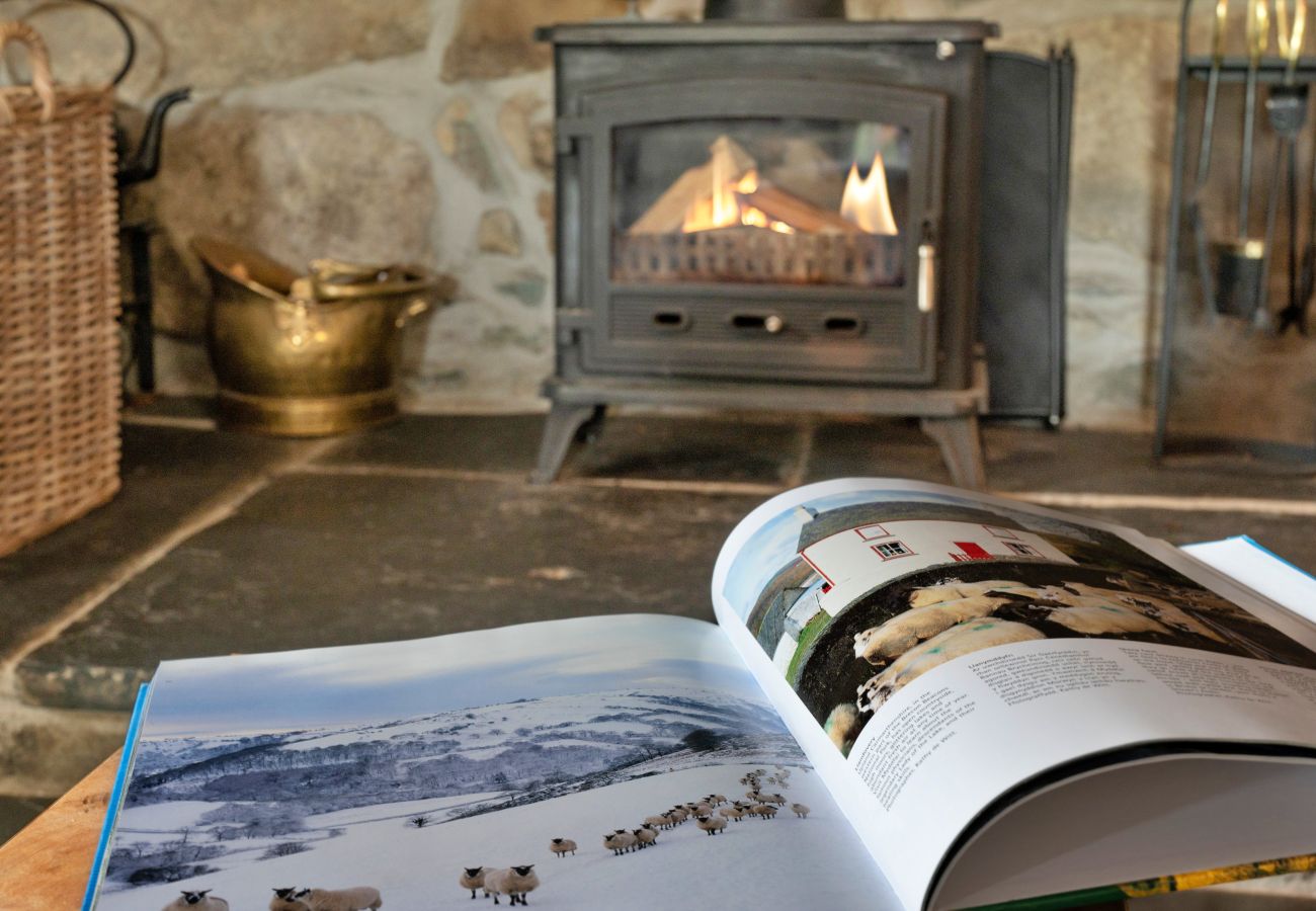 Cottage in Dolgellau - Penclogwynau
