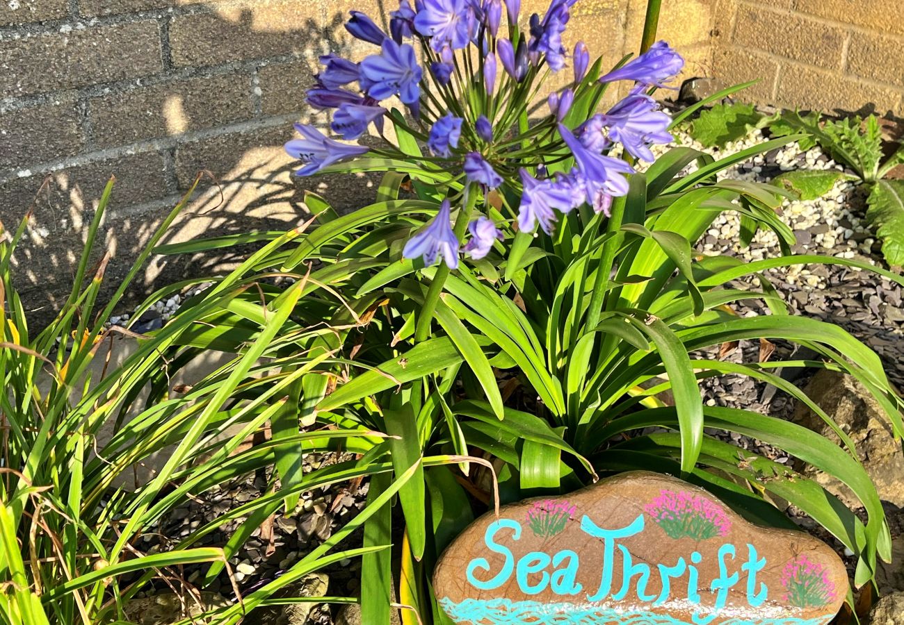 Bungalow in Widemouth Bay - Sea Thrift