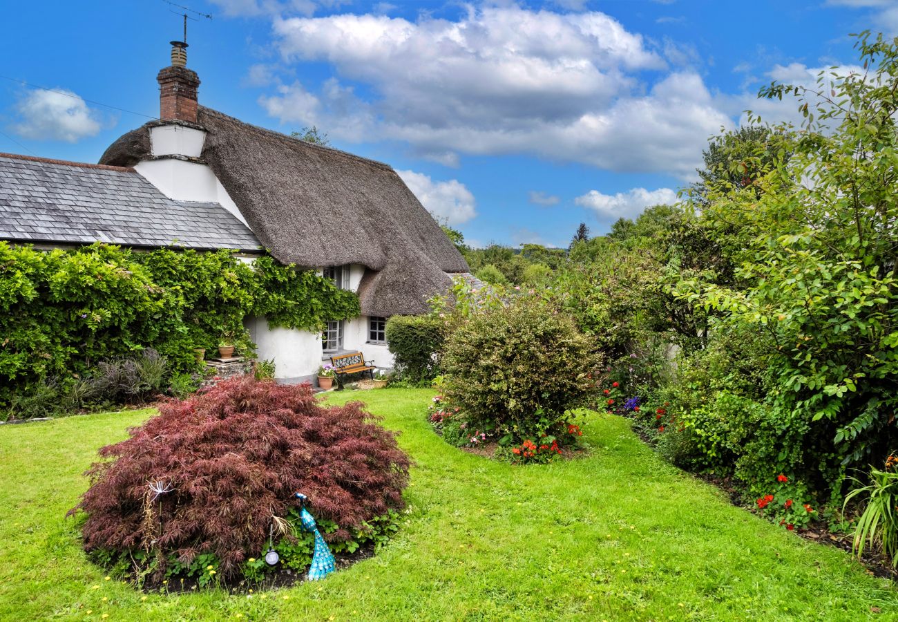 Cottage in Winkleigh - Wisteria Way