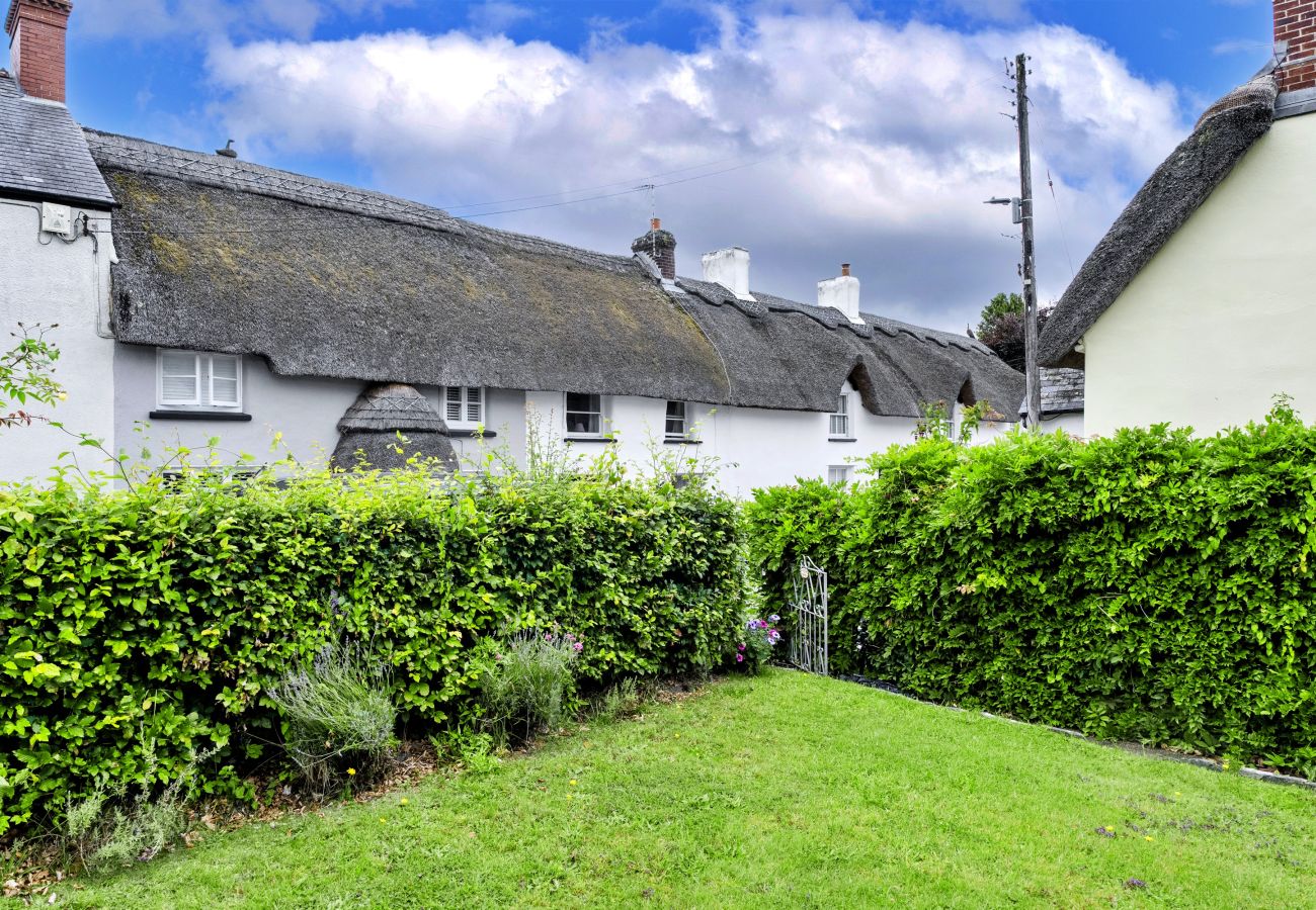 Cottage in Winkleigh - Wisteria Way