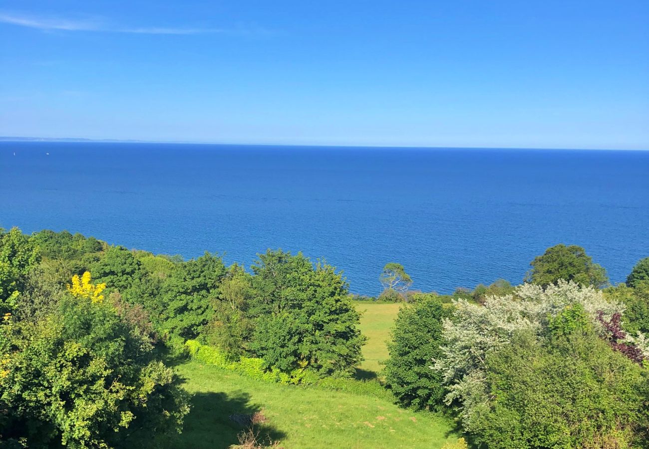 House in Torquay - Cliff Lodge