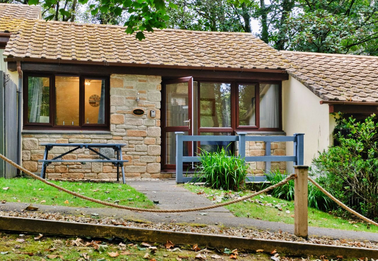 Chalet in St Ives - Joyful Cottage