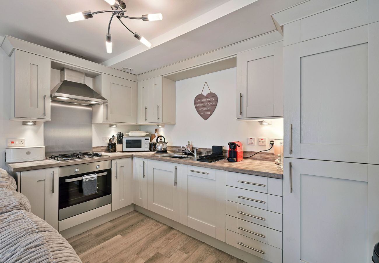Apartment in Balloch - Riverside View