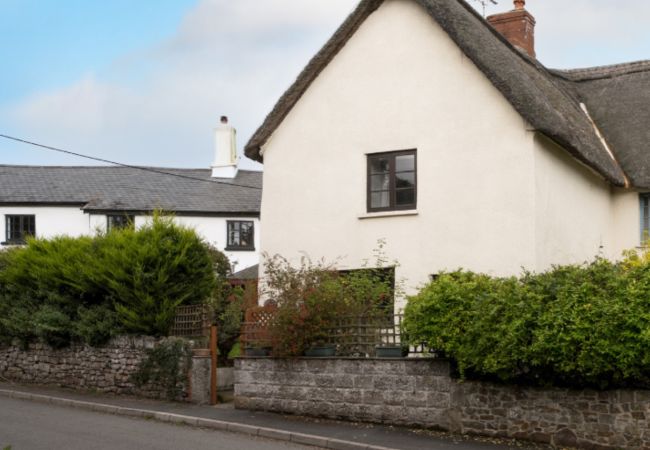 Cottage in Exbourne - Town Farm Cottage