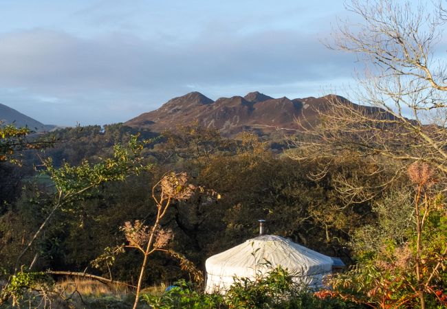 Chalet in Dolgellau - Pandy Traditional Yurt Chalet in Dolgellau - Pandy Traditional Yurt