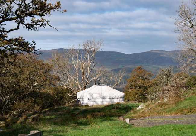 Chalet in Dolgellau - Pandy Traditional Yurt Chalet in Dolgellau - Pandy Traditional Yurt