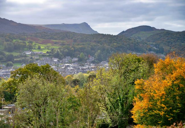 Chalet in Dolgellau - Pandy Traditional Yurt Chalet in Dolgellau - Pandy Traditional Yurt