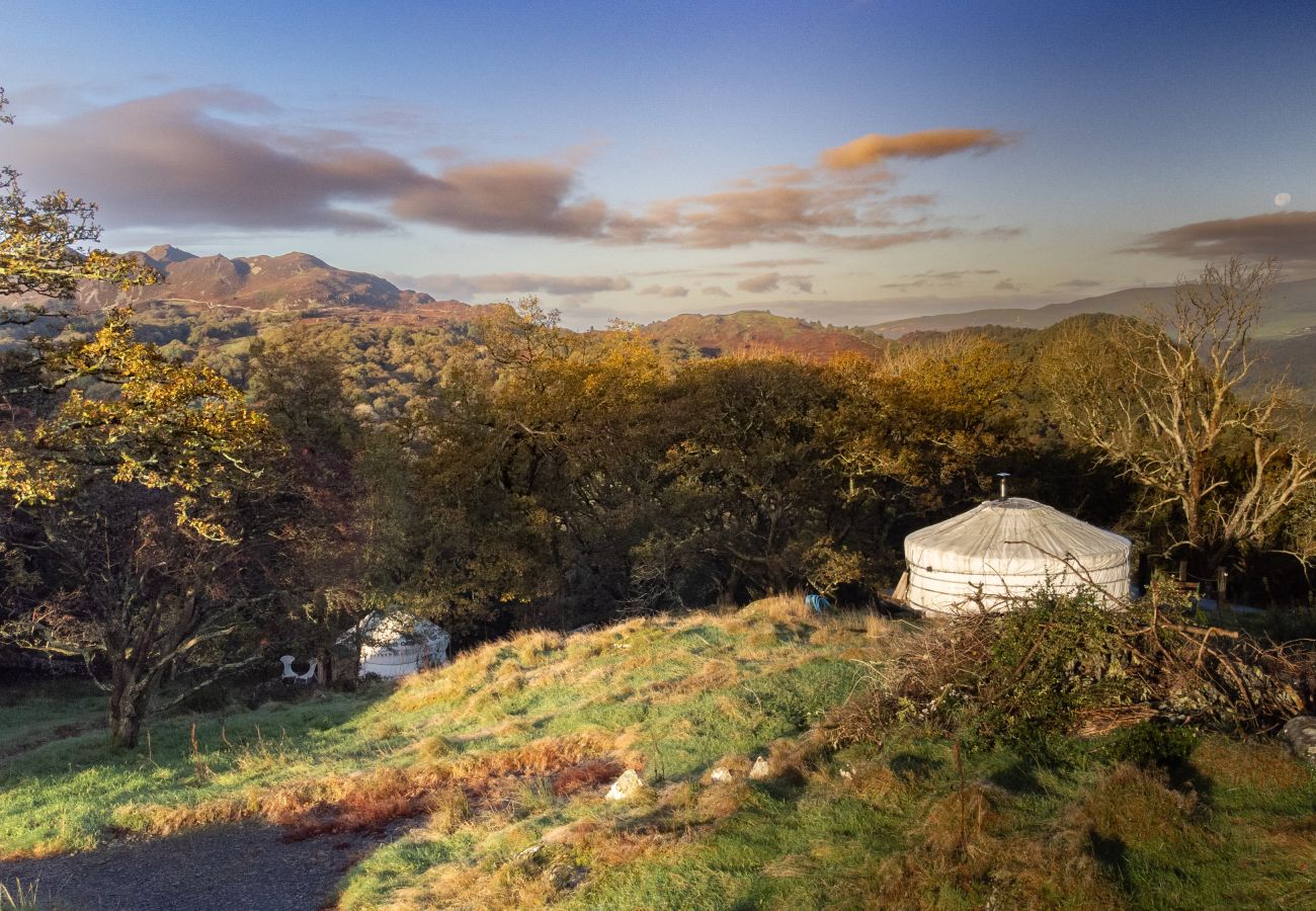 Chalet in Dolgellau - Pandy Traditional Yurt