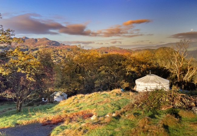 Chalet in Dolgellau - Pandy Mongolian Yurt Chalet in Dolgellau - Pandy Mongolian Yurt