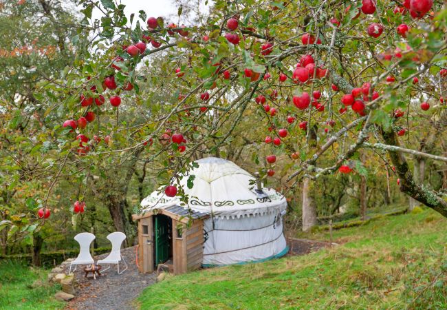 Chalet in Dolgellau - Pandy Mongolian Yurt Chalet in Dolgellau - Pandy Mongolian Yurt