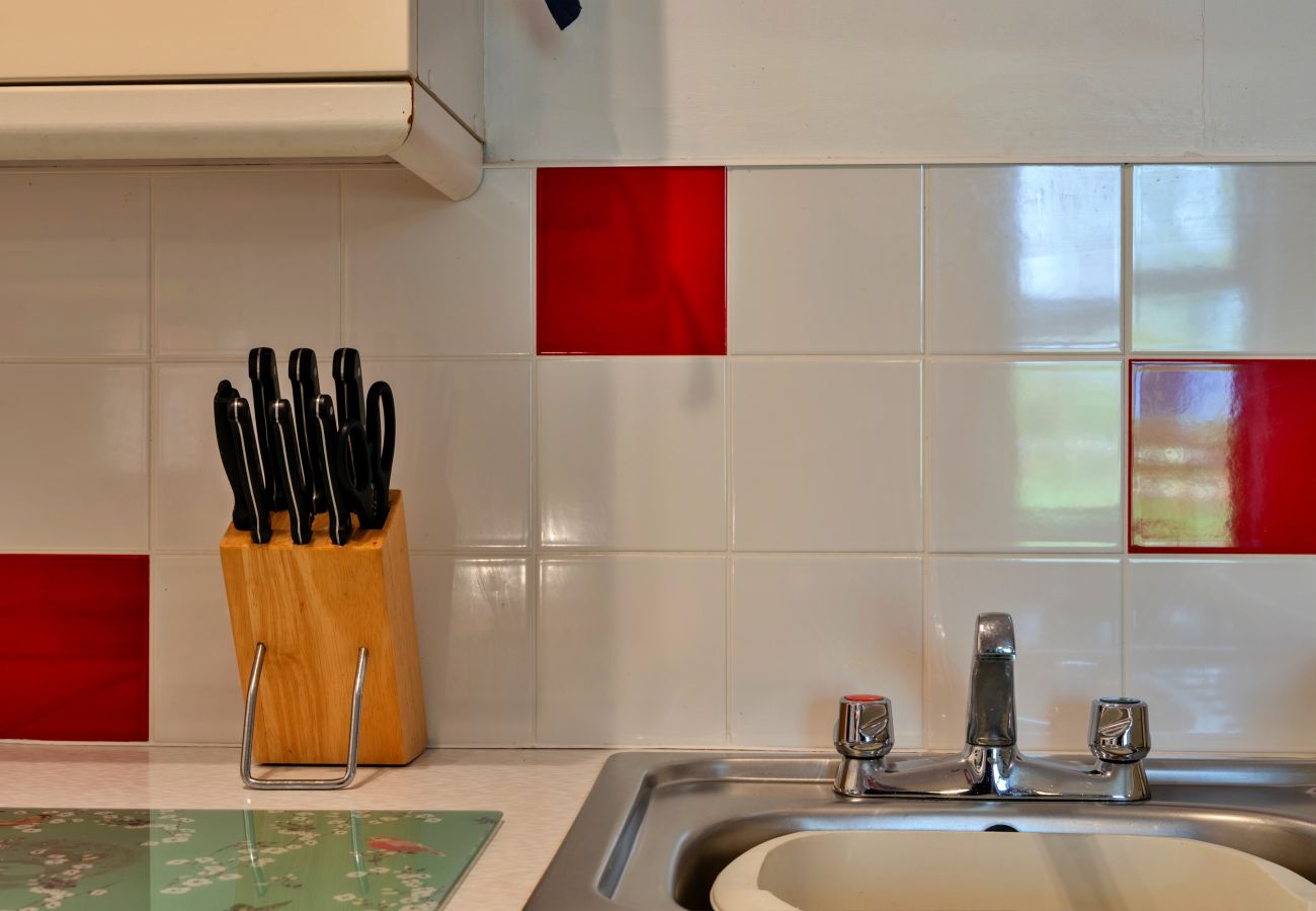 Cottage in Torrington - Old Nog Cottage, Stowford