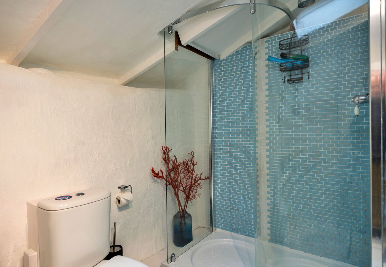 Cottage in Penrose - Spray Barn