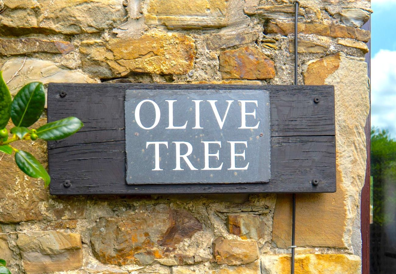 Cottage in Widemouth Bay - Olive Tree