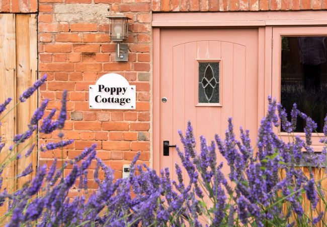 Cottage in Aylesbeare - Poppy Cottage, Great Houndbeare Farm
