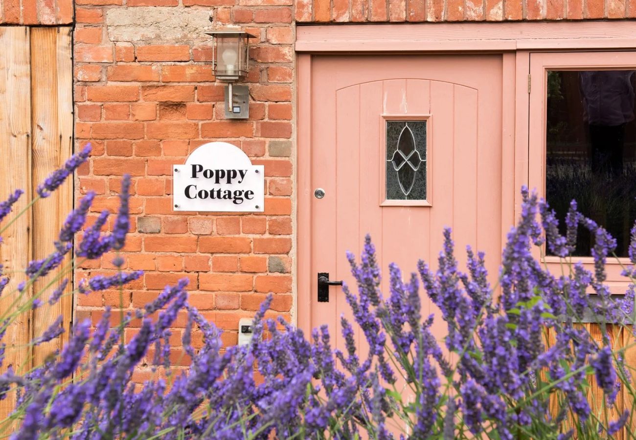Cottage in Aylesbeare - Poppy Cottage, Great Houndbeare Farm