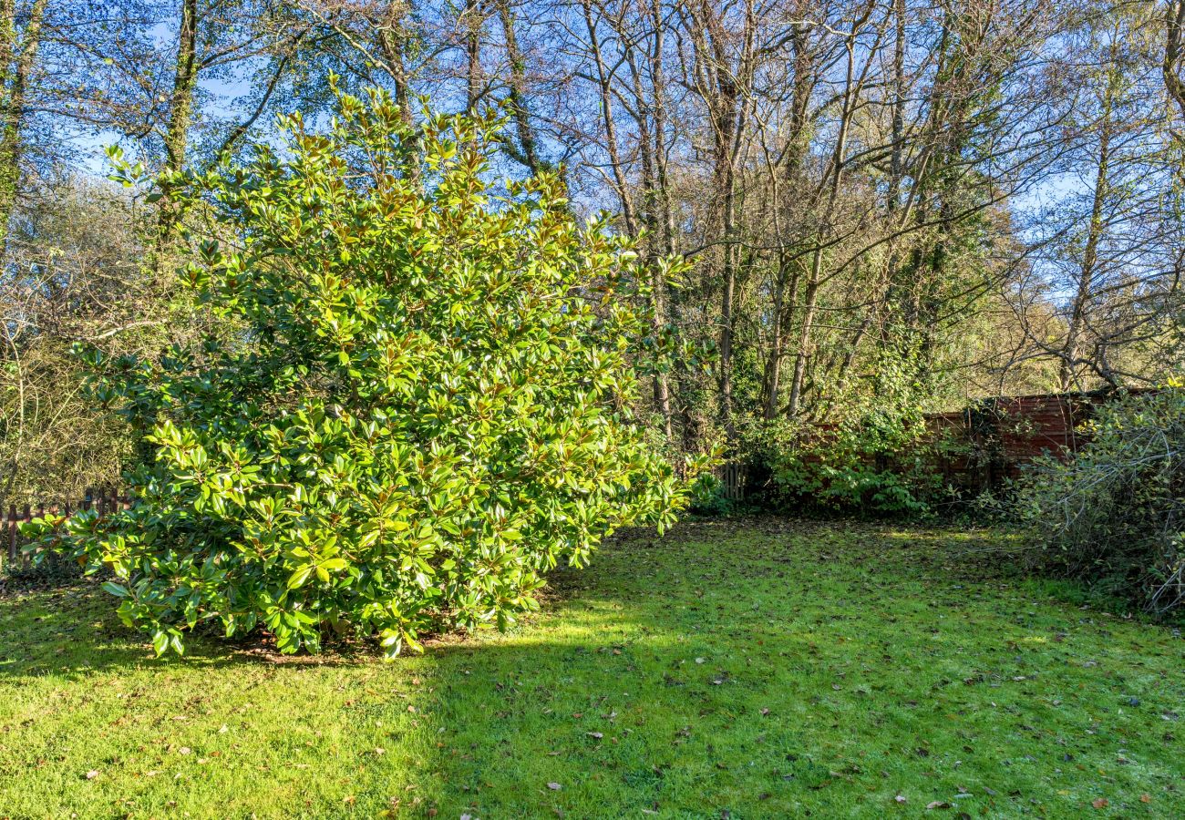 Cottage in Aylesbeare - Mill Cottage, Great Houndbeare Farm