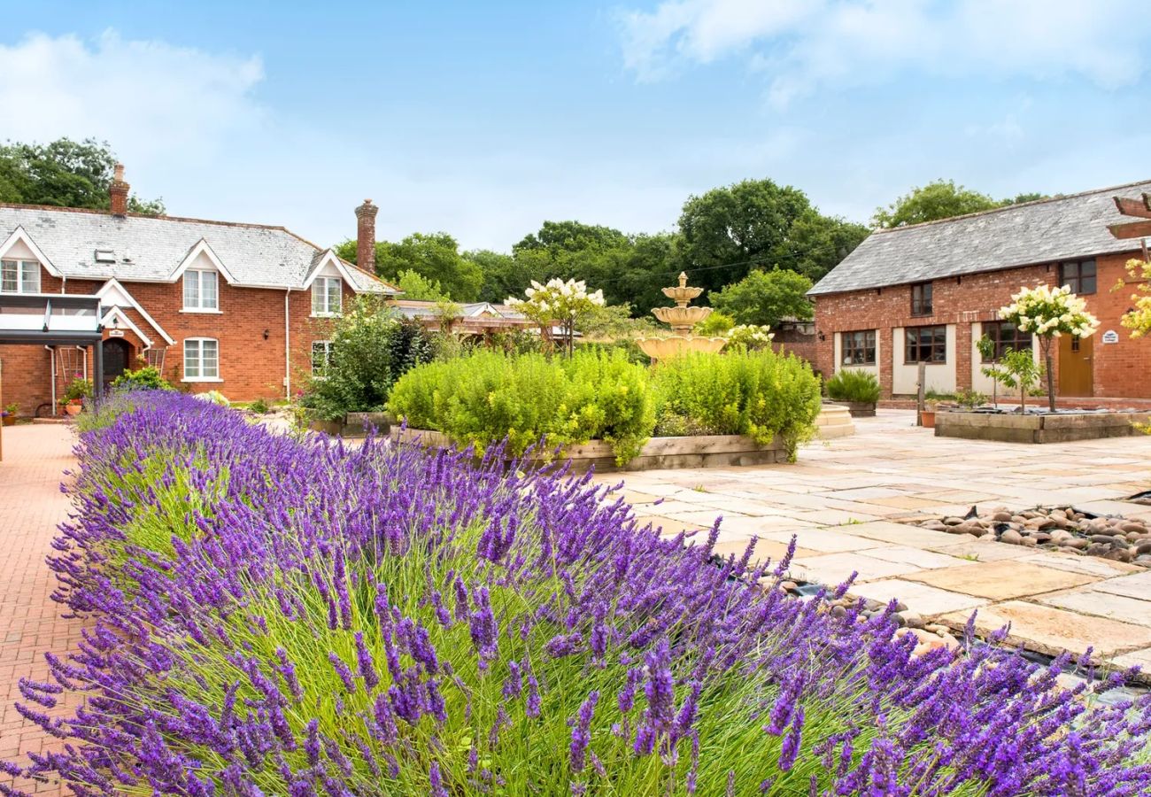 Cottage in Aylesbeare - Ivy Cottage, Great Houndbeare Farm