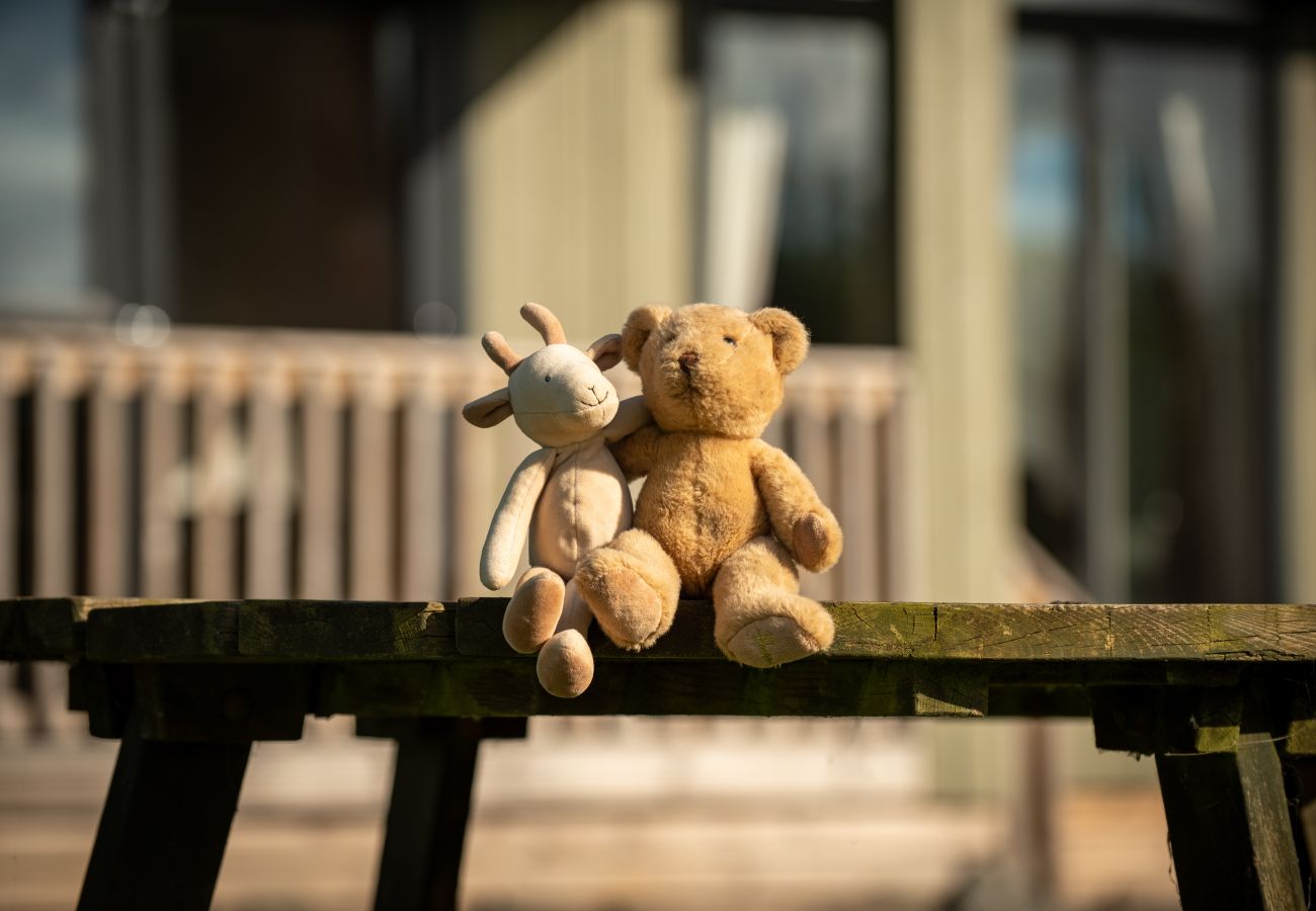 Chalet in Errol - Silverwood Family Lodge