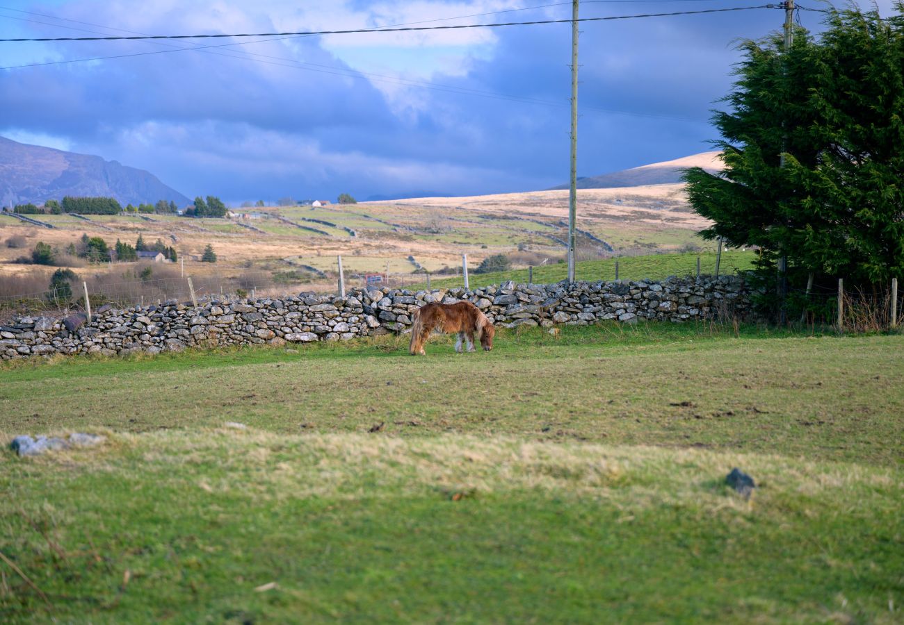 Cottage in Caernarfon - Hedd Wen Cottage