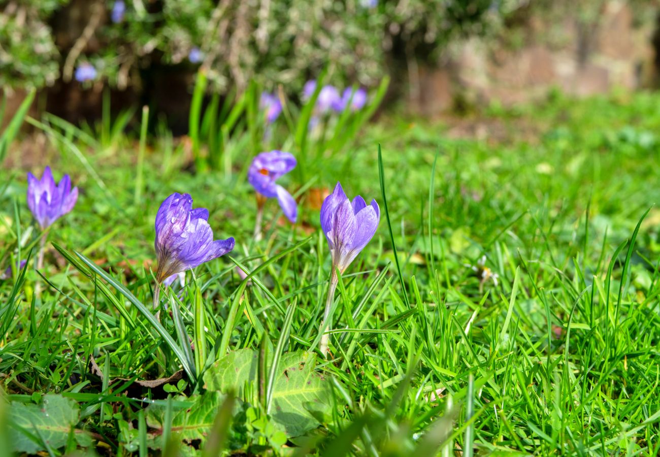 Apartment in Lanteglos - Smugglers Loft at Mixtow Creek