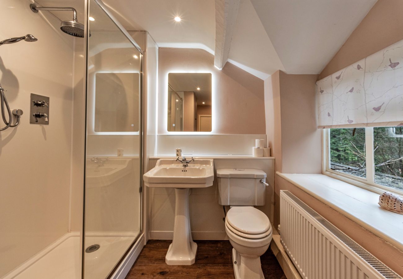 Cottage in Denbigh - Dolhyfryd Lodge