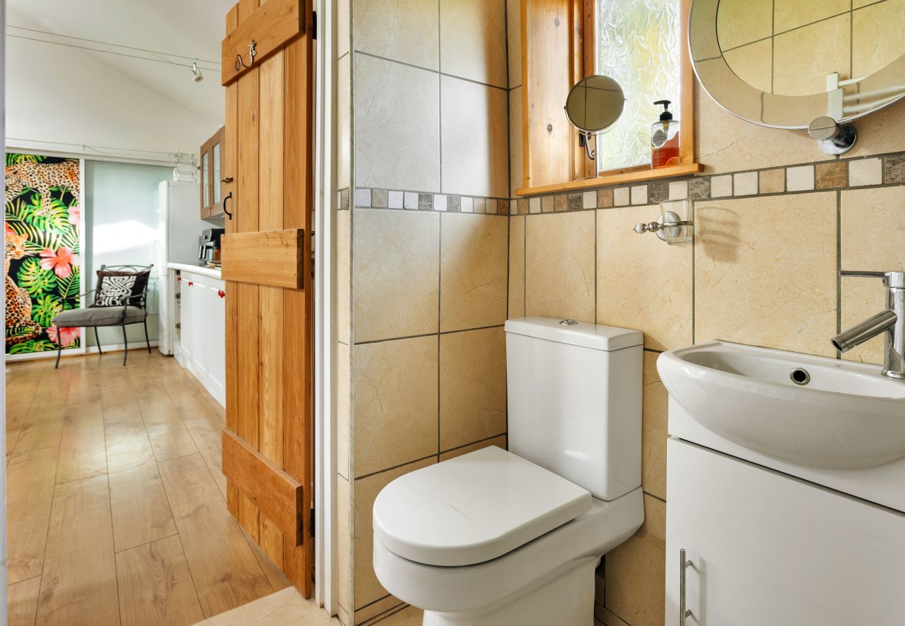 Cottage in Bellerby - Vine Barn Studio Annexe