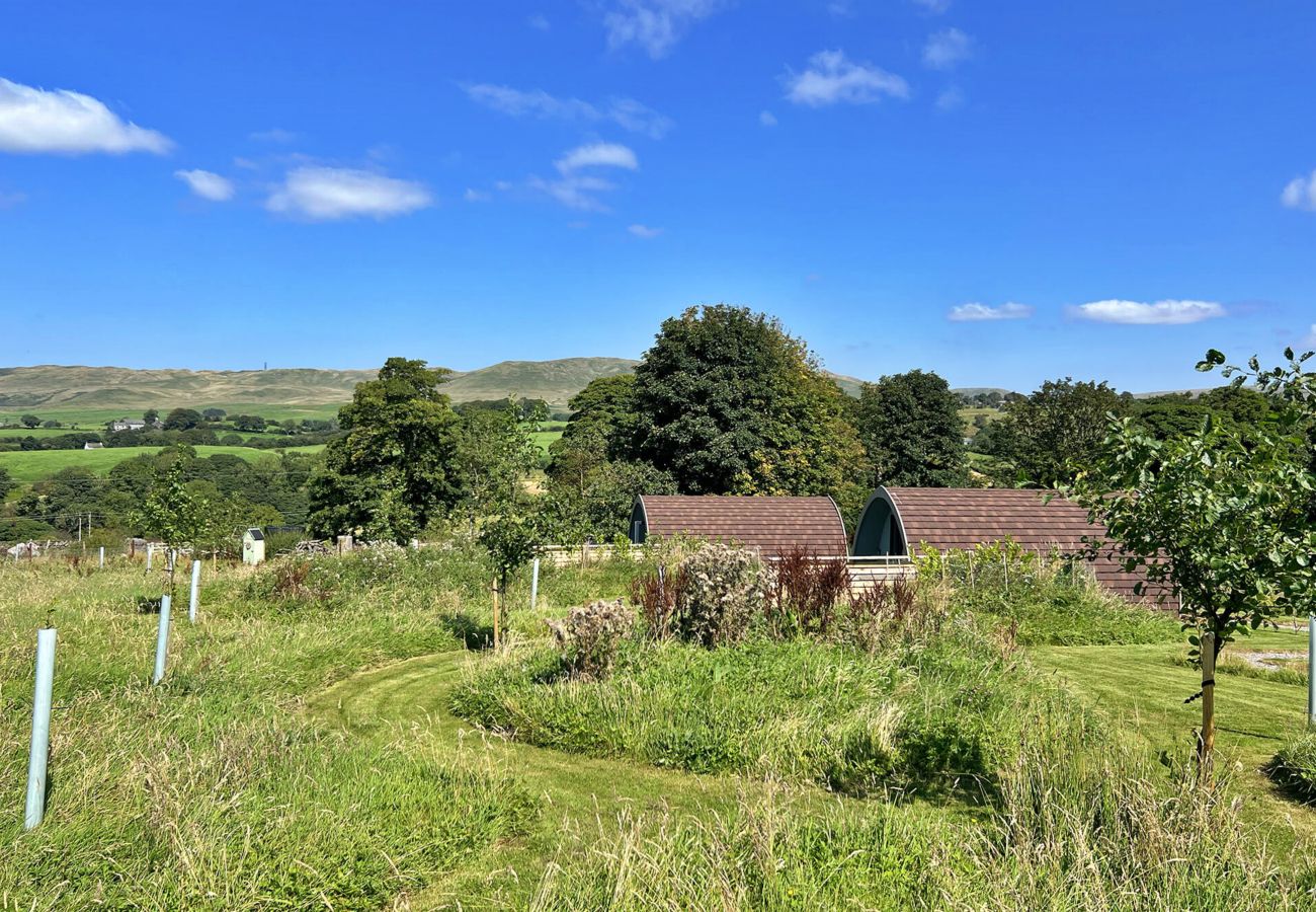 Cabin in Lambrigg - Whinfell Pod