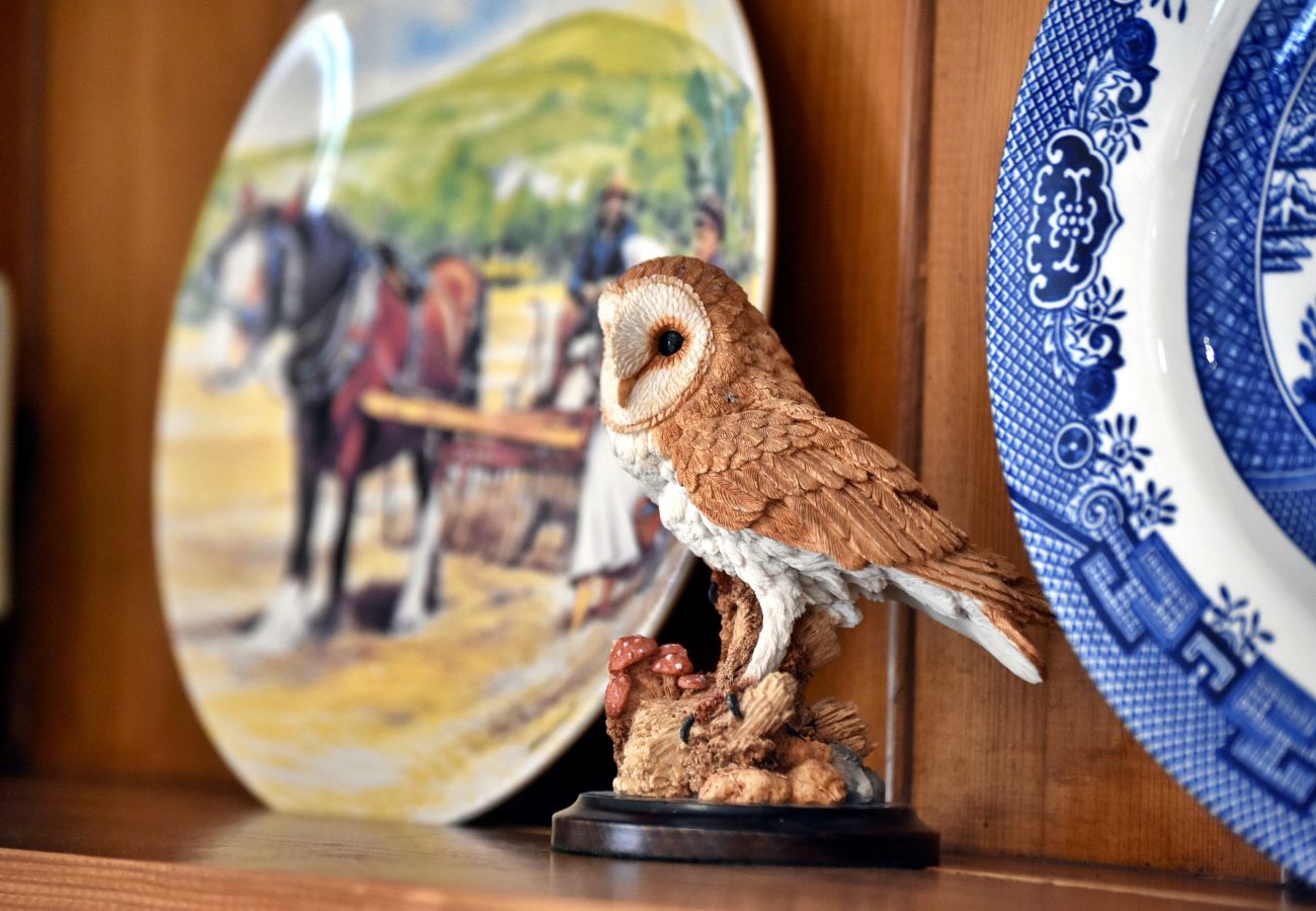 Cottage in Driffield - The Owls Rest