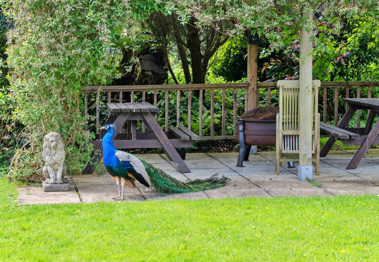 Cottage in Woolacombe - Trimstone Manor - Mill Cottage
